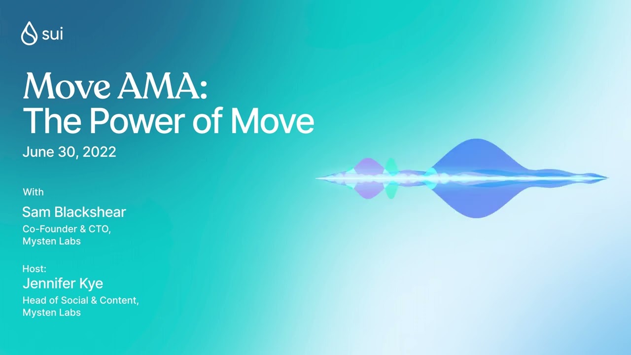 Move programming language Sui blockchain security